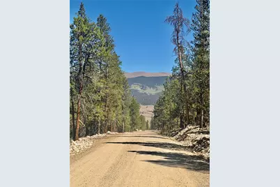 350 Mount Massive Drive, Twin Lakes, CO 81251 - Photo 7