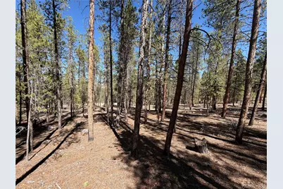 350 Mount Massive Drive, Twin Lakes, CO 81251 - Photo 13