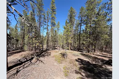 350 Mount Massive Drive, Twin Lakes, CO 81251 - Photo 19