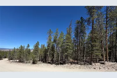 350 Mount Massive Drive, Twin Lakes, CO 81251 - Photo 3