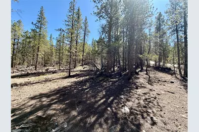 350 Mount Massive Drive, Twin Lakes, CO 81251 - Photo 9