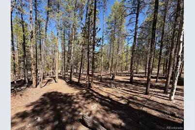 350 Mount Massive Drive, Twin Lakes, CO 81251 - Photo 17