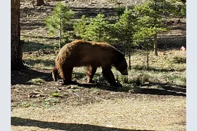 2664 Grojean Drive, Fort Garland, CO 81133 - Photo 15