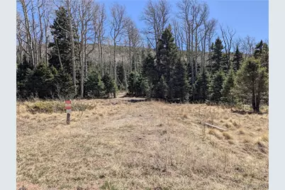 2664 Grojean Drive, Fort Garland, CO 81133 - Photo 3