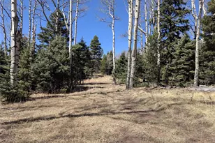 2664 Grojean Dr, Fort Garland, CO 81133 - Photo 1