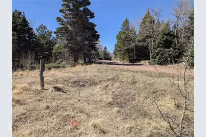 2664 Grojean Drive, Fort Garland, CO 81133 - Photo 11