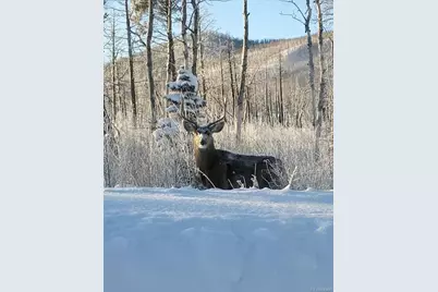 2664 Grojean Drive, Fort Garland, CO 81133 - Photo 17