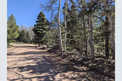2664 Grojean Drive, Fort Garland, CO 81133 - Photo 9
