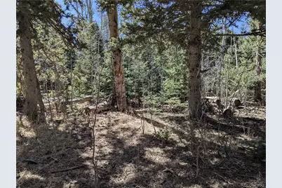 2664 Grojean Drive, Fort Garland, CO 81133 - Photo 5