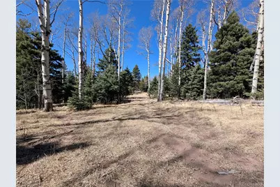 2664 Grojean Drive, Fort Garland, CO 81133 - Photo 7