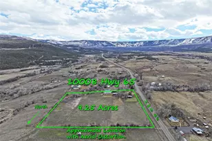 10008 Hwy 65, Mesa, CO 81643 - Photo 5