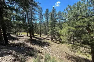 0 Pine Pine, Evergreen, CO 80439 - Photo 1