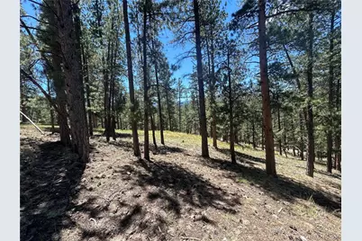0 Pine Pine, Evergreen, CO 80439 - Photo 3
