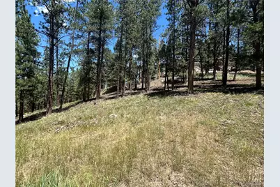 0 Pine Pine, Evergreen, CO 80439 - Photo 5