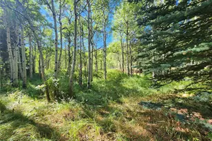 531 Caribou Rd, Nederland, CO 80466 - Photo 5