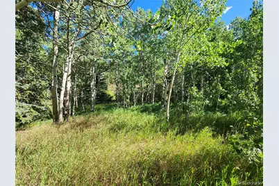 531 Caribou Road, Nederland, CO 80466 - Photo 9