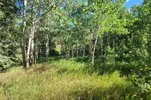 531 Caribou Rd, Nederland, CO 80466 - Photo 9