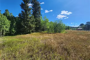 531 Caribou Rd, Nederland, CO 80466 - Photo 7