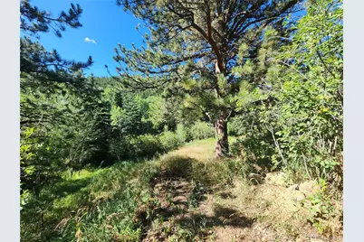 531 Caribou Road, Nederland, CO 80466 - Photo 1