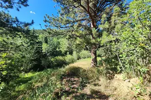 531 Caribou Rd, Nederland, CO 80466 - Photo 1