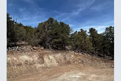2065 Indian Wells Road, Cotopaxi, CO 81223 - Photo 9