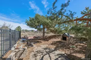 2542 Gentry Pl, Watkins, CO 80137 - Photo 37