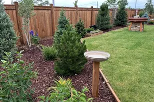 12550 Poplar St, Thornton, CO 80602 - Photo 39