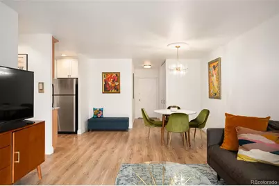 700 N Washington Street #305, Denver, CO 80203 - Photo 5