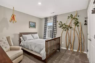 13984 Scarlet Sage St, Parker, CO 80134 - Photo 33