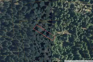 Fern Gulch Rd, Evergreen, CO 80439 - Photo 1