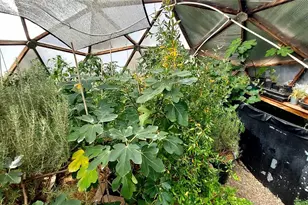 1877 Wilking Rd, Fort Garland, CO 81133 - Photo 25