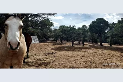 1877 Wilking Road, Fort Garland, CO 81133 - Photo 29
