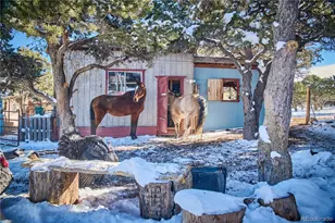 1877 Wilking Rd, Fort Garland, CO 81133 - Photo 3