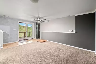 33678 Jenifer Road, Pine, CO 80470 - Photo 23