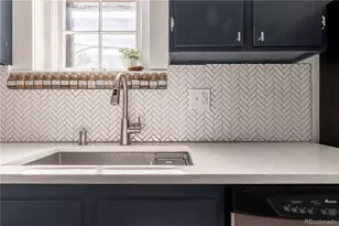 523 E 12th Ave, Denver, CO 80203 - Photo 11
