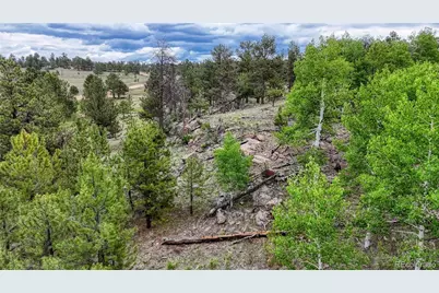 330 Arrowhead Dr Drive, Florissant, CO 80816 - Photo 15