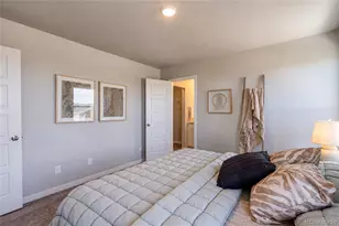 603 Apex Trail, Ault, CO 80610 - Photo 23