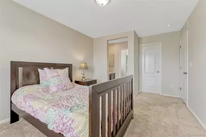 15048 Yellowthroat Street, Parker, CO 80134 - Photo 31