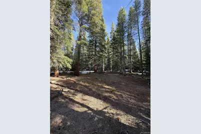 611 Silver Creek Road, Idaho Springs, CO 80452 - Photo 1