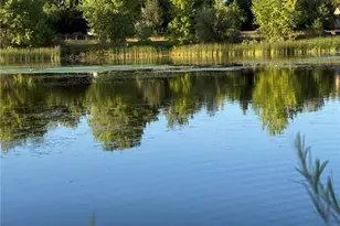 1304 Snowberry Ln, Louisville, CO 80027 - Photo 37