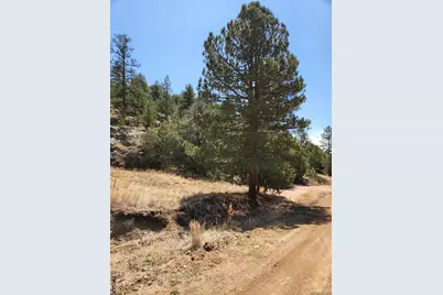 1314 Arnold Drive, Cotopaxi, CO 81223 - Photo 9