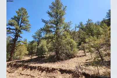 1314 Arnold Drive, Cotopaxi, CO 81223 - Photo 5