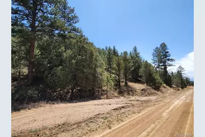 1314 Arnold Drive, Cotopaxi, CO 81223 - Photo 11