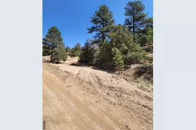 1314 Arnold Drive, Cotopaxi, CO 81223 - Photo 3