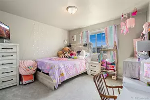 3904 Sweetgum St, Wellington, CO 80549 - Photo 21