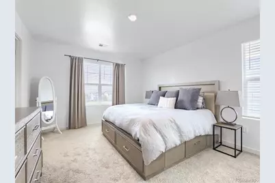 651 N Allium Street, Watkins, CO 80137 - Photo 11
