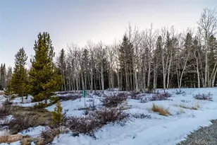 850 Georgia Pass Lookout, Jefferson, CO 80456 - Photo 33