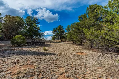 Tr-56 Macdonnell, Cotopaxi, CO 81223 - Photo 25