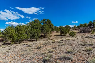 Tr-56 Macdonnell, Cotopaxi, CO 81223 - Photo 3