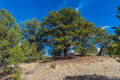 Tr-56 Macdonnell, Cotopaxi, CO 81223 - Photo 5